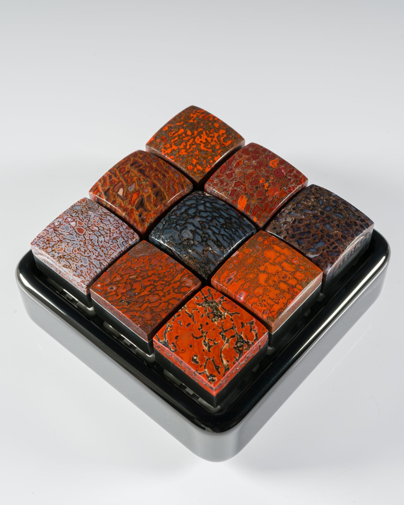 Dinosaur Bone #3 (Silver Inlay) image 1