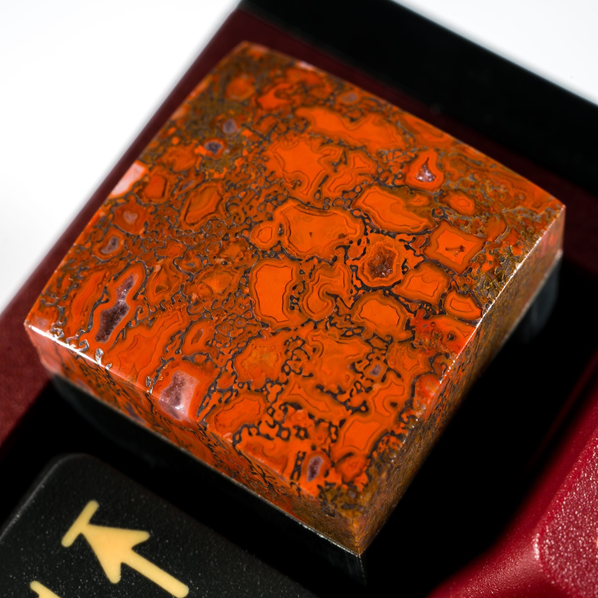 Dinosaur Bone #2 (Silver Inlay) image 0