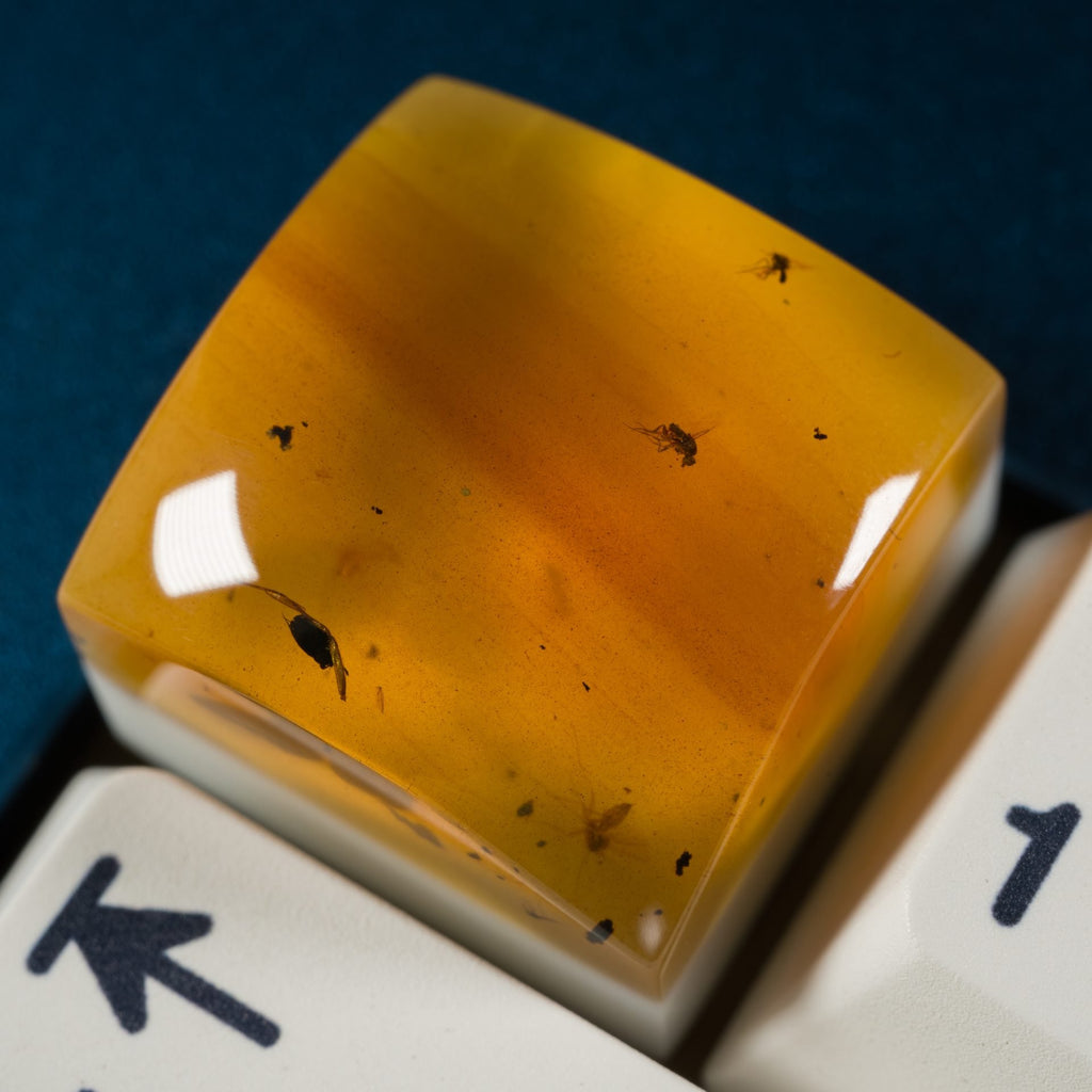 Amber #13 image 0