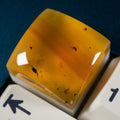 Amber #13 image 0