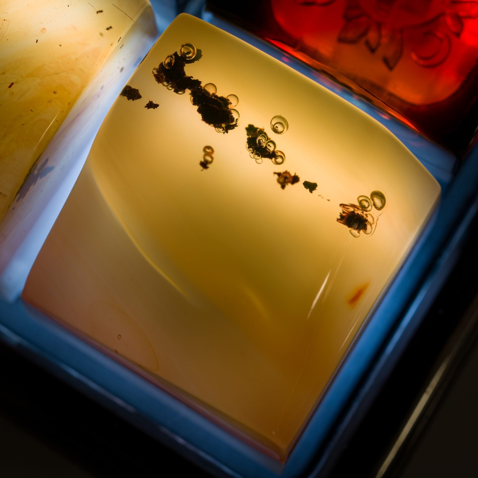 Amber #9 image 1