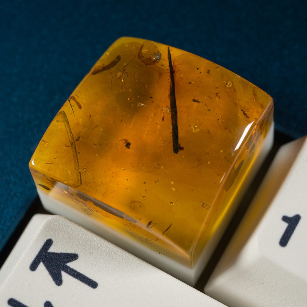 Amber #17 image 2