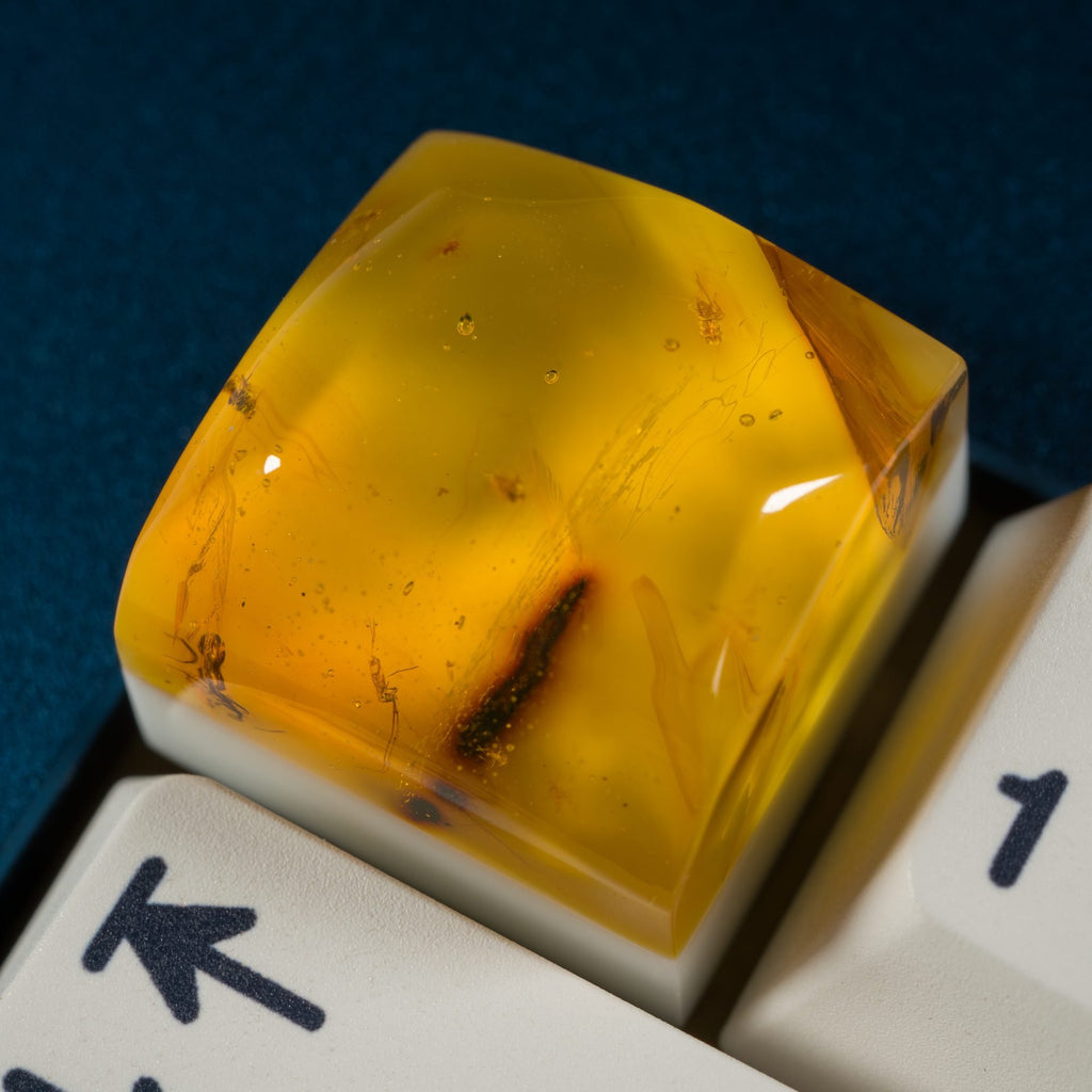 Amber #16 image 0