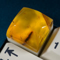Amber #16 image 0