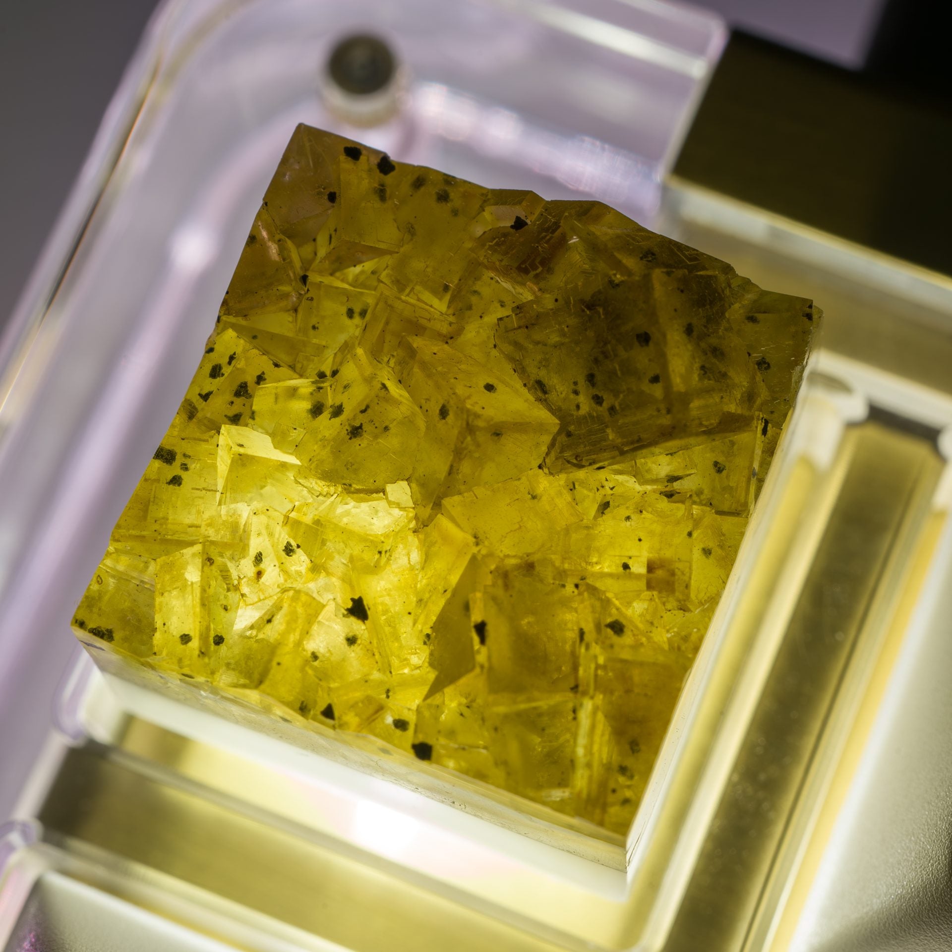 Fluorite #8 (Natural Top) image 1