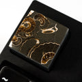 Ammonite #11