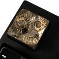 Ammonite #9