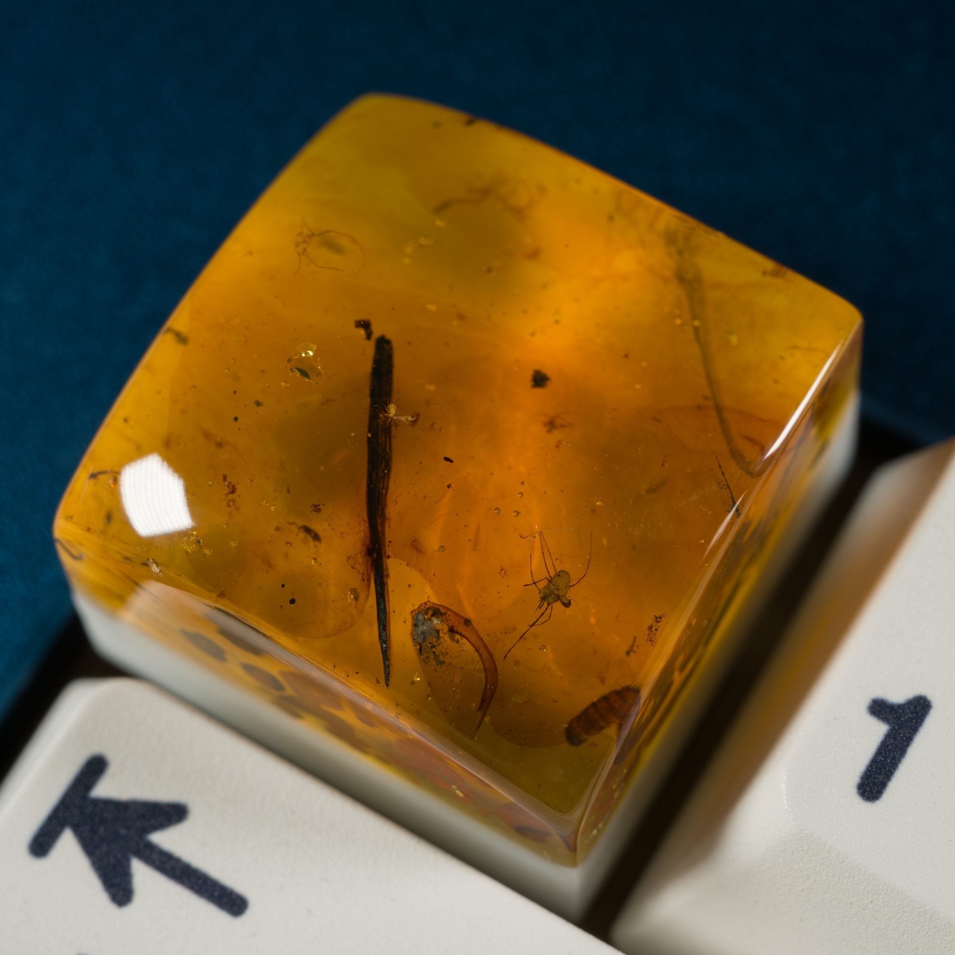 Amber #17 image 1