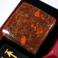 Dinosaur Bone #3 (Silver Inlay) image 0